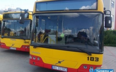 Łomża/Ostrołęka: Autobusy jeżdżą według wakacyjnego rozkładu jazdy