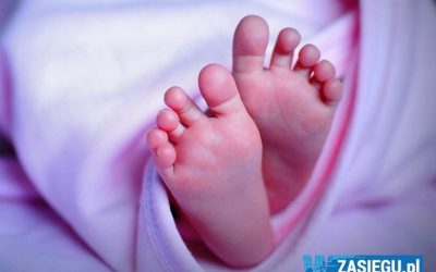 Ks. Jacek Kotowski: Celem hospicjów perinatalnych jest m.in. wsparcie rodziców, którym wali się świat