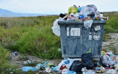 Gmina Nowogród: Burmistrz zachęca do prawidłowej segregacji śmieci