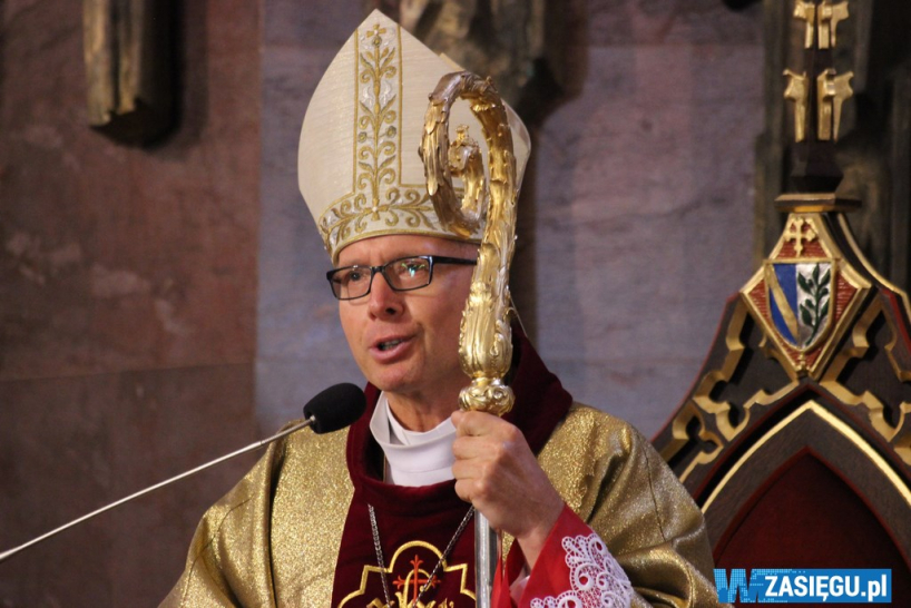 bp Stepnowski