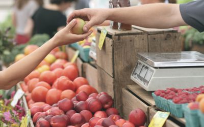 Gmina Kolno: Samorząd nie porzuca planów utworzenia targowiska w Lachowie