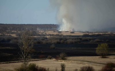 Region. Nagroda za wskazanie podpalacza w Biebrzańskim Parku Narodowym