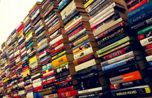 Ministerstwo Książek (Anna Czytowska)