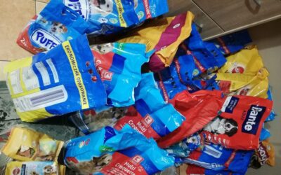 Łomża: Kibice ŁKSu i mieszkańcy wspólnie zbierają karmę dla Schroniska „Arka”