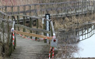 Narwiański Park Narodowy: Kładka wśród bagien w Kurowie została zamknięta