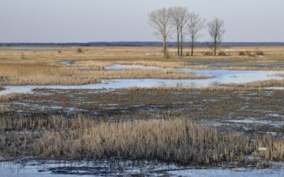 Region. WOPR odradza wycieczki w tereny podmokłe