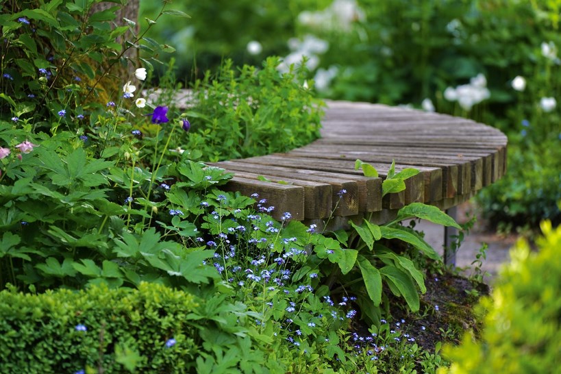 bench-5177709_1920 (Kopiowanie)