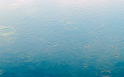 Region: IMGW ostrzega przed opadami deszczu