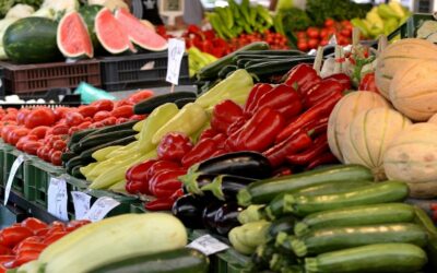 Region. Rusza Agro Polska 2021. I Ty możesz uzyskać nominację
