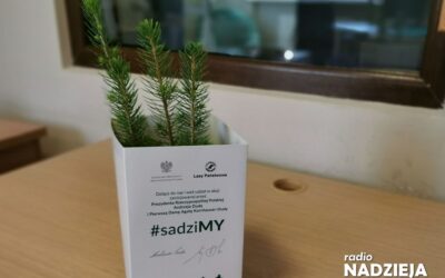 Łomża: Zgarnij sadzonkę za śmieci
