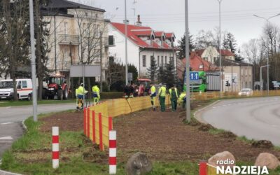 Łomża: Pasy zieleni będą usłane kwiatami