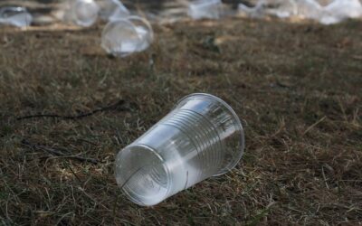 Myszyniec: Urzędnicy sprzątają swoją miejscowość