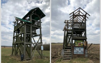 Narwiański Park Narodowy: Wieże widkowe są zamknięte
