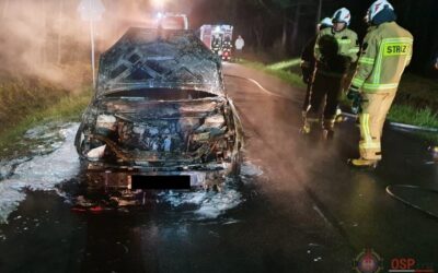 Gmina Łyse: Samochód spłonął na drodze