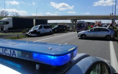 Powiat wyszkowski: Karambol na S8. Powodem…kaczki