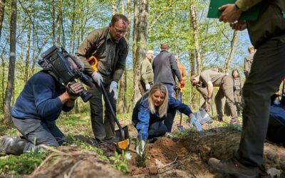 Region: W Nadleśnictwie Rudka posadzono las Franciszka