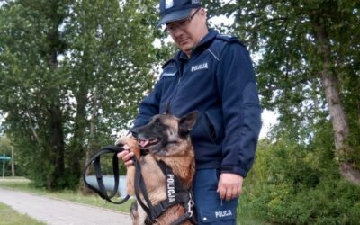 Łomża: Ruda wyniuchała środki odurzające