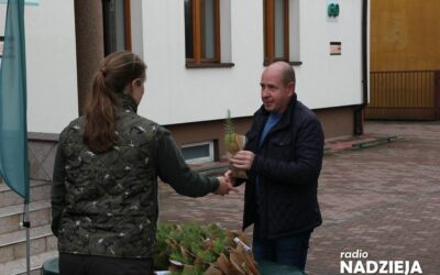 Łomża: Zgarnij sadzonkę od nadleśnictwa