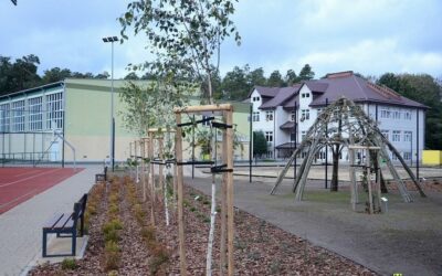 Kadzidło: Szkolne arboretum coraz bardziej atrakcyjne