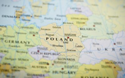 Poseł Gwiazdowski o polexicie: To tania demagogia