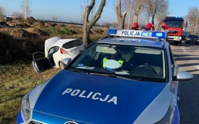 Gmina Łomża: Samochód uderzył w drzewo