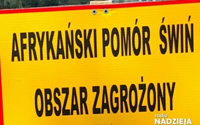 Region: Zdarzają się pojedyncze sztuki dzików, u których wykrywany jest ASF