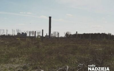 Łomża: Działki po Galerii Narew na licytacji