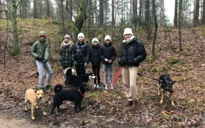Region: Adopcja czy spacer? Sprawdź, jak możesz wspomóc Schronisko „Canis”