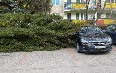Region: Strażacy podsumowują swoje działalnia