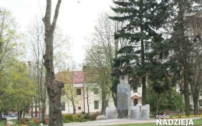 Wysokie Mazowieckie: Miasto walczy z gawronami