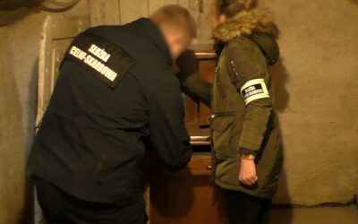 Mazowsze: Wyłudzali pieniądze z tarczy finansowej