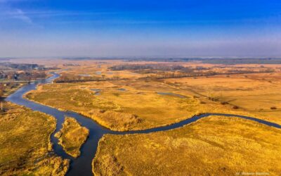 Region: Odwiedź Biebrzański Park Narodowy i pomóż sprzątnąć śmieci