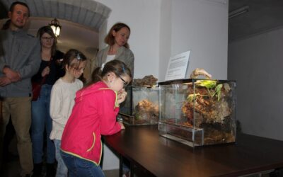 Drozdowo: Pająki i skorpiony na wystawie w Muzeum Przyrody