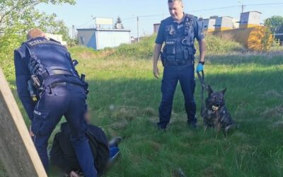 Nowogród: Policyjny pies pomógł zatrzymać pijanego kierowcę