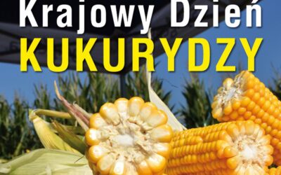 Szepietowo: Zbliża się Krajowy Dzień Kukurydzy