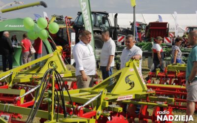 Szepietowo: W sobotę (29.06) XXX Regionalna Wystawa Zwierząt Hodowlanych