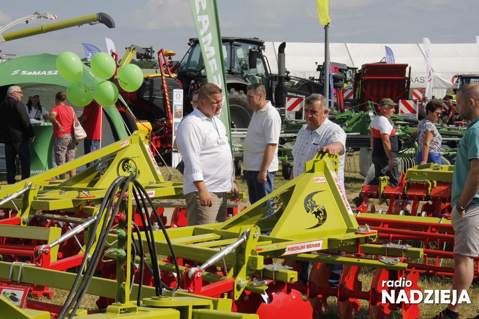 Szepietowo: W sobotę (29.06) XXX Regionalna Wystawa Zwierząt Hodowlanych