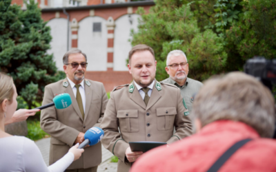 Lasy Państwowe: Wsparcie gospodarki drzewnej