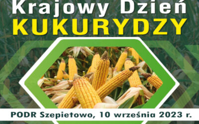 Szepietowo: Krajowy Dzień Kukurydzy