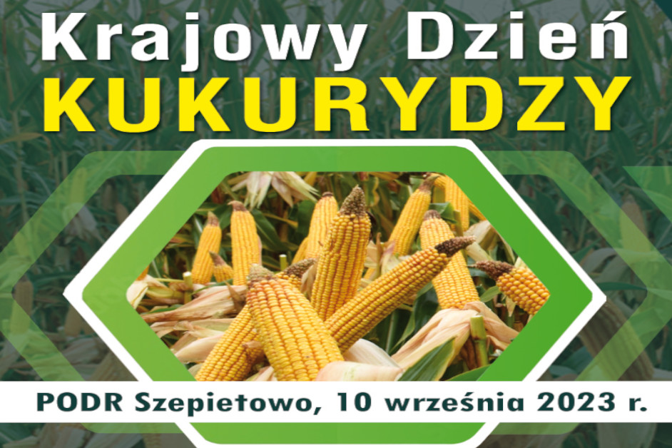2023-08-30 Krajowy Dzień Kukurydzy