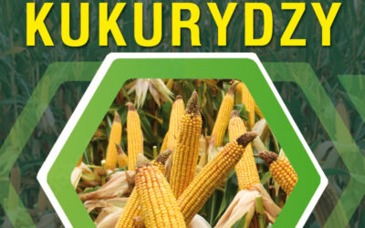 Podlaskie: Krajowy Dzień Kukurydzy w PODR Szepietowo