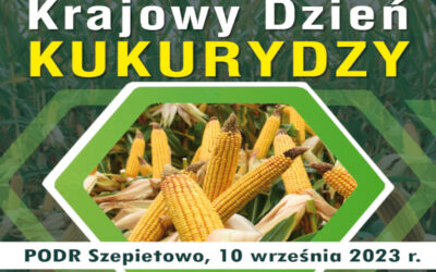Szepietowo: PODR zaprasza na Krajowy Dzień Kukurydzy