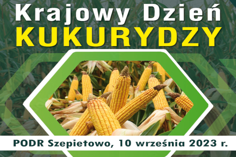 Szepietowo: PODR zaprasza na Krajowy Dzień Kukurydzy