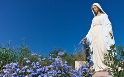 Wiara: Dzieło Modlitwy “Z Maryją ratuj człowieka” na Jasnej Górze