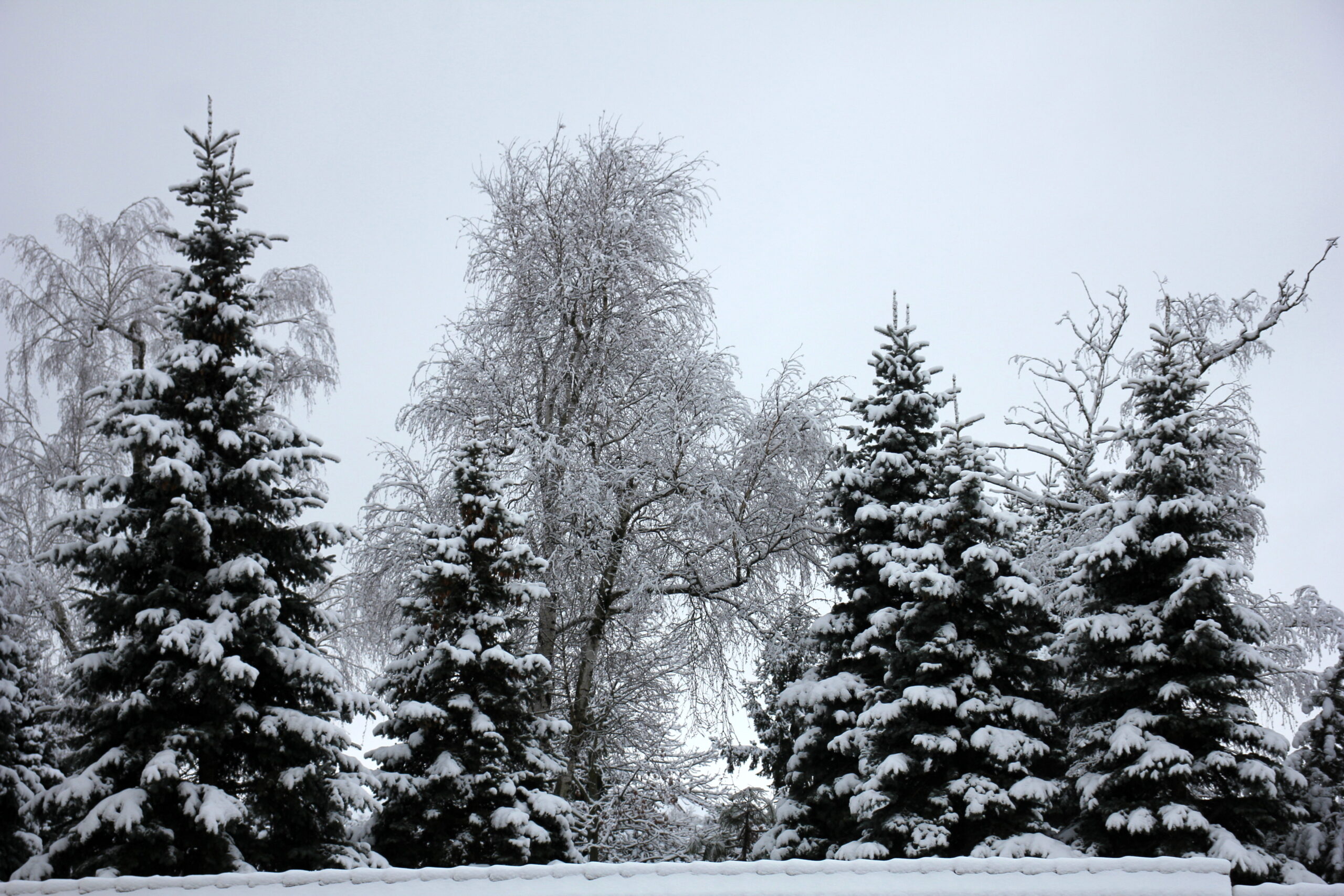 2024-01-05 Warunki pogodowe w Łomży