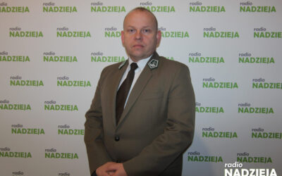 Nadleśnictwo Nowogród: Jak uniknąć degradacji lasów?