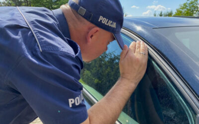 Region: Rozgrzane auto pułapką dla dzieci i zwierząt