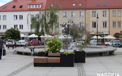 Sonda: Jak mieszkańcy Łomży chcą dbać o środowisko?