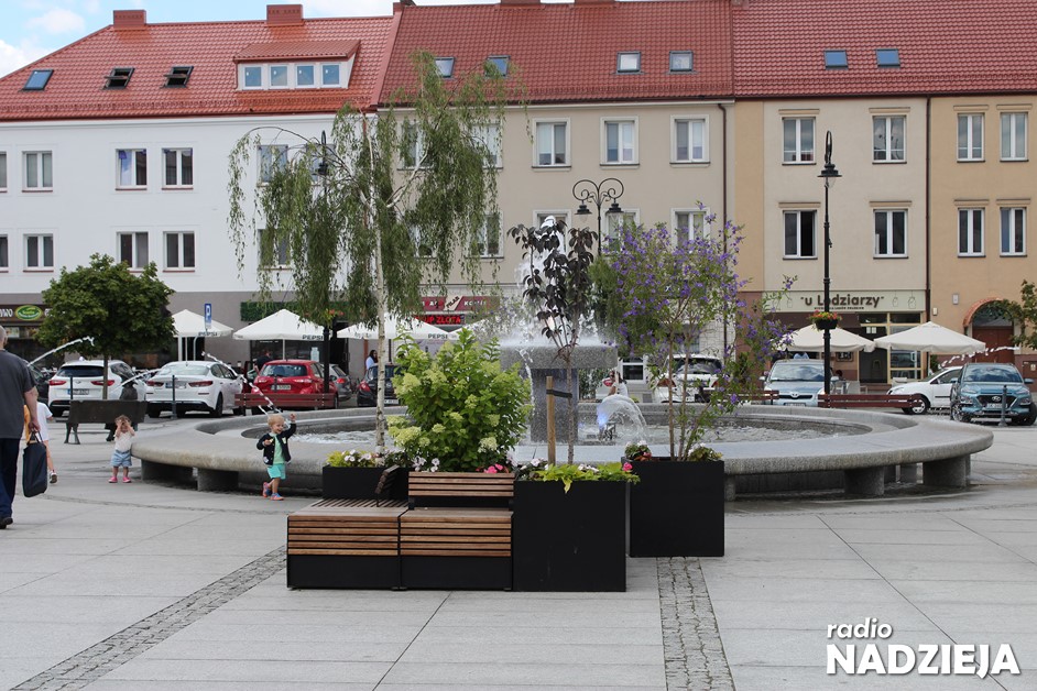 Sonda: Jak mieszkańcy Łomży chcą dbać o środowisko?