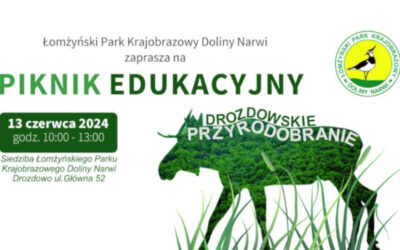 Region: Piknik edukacyjny „Drozdowskie Przyrodobranie”